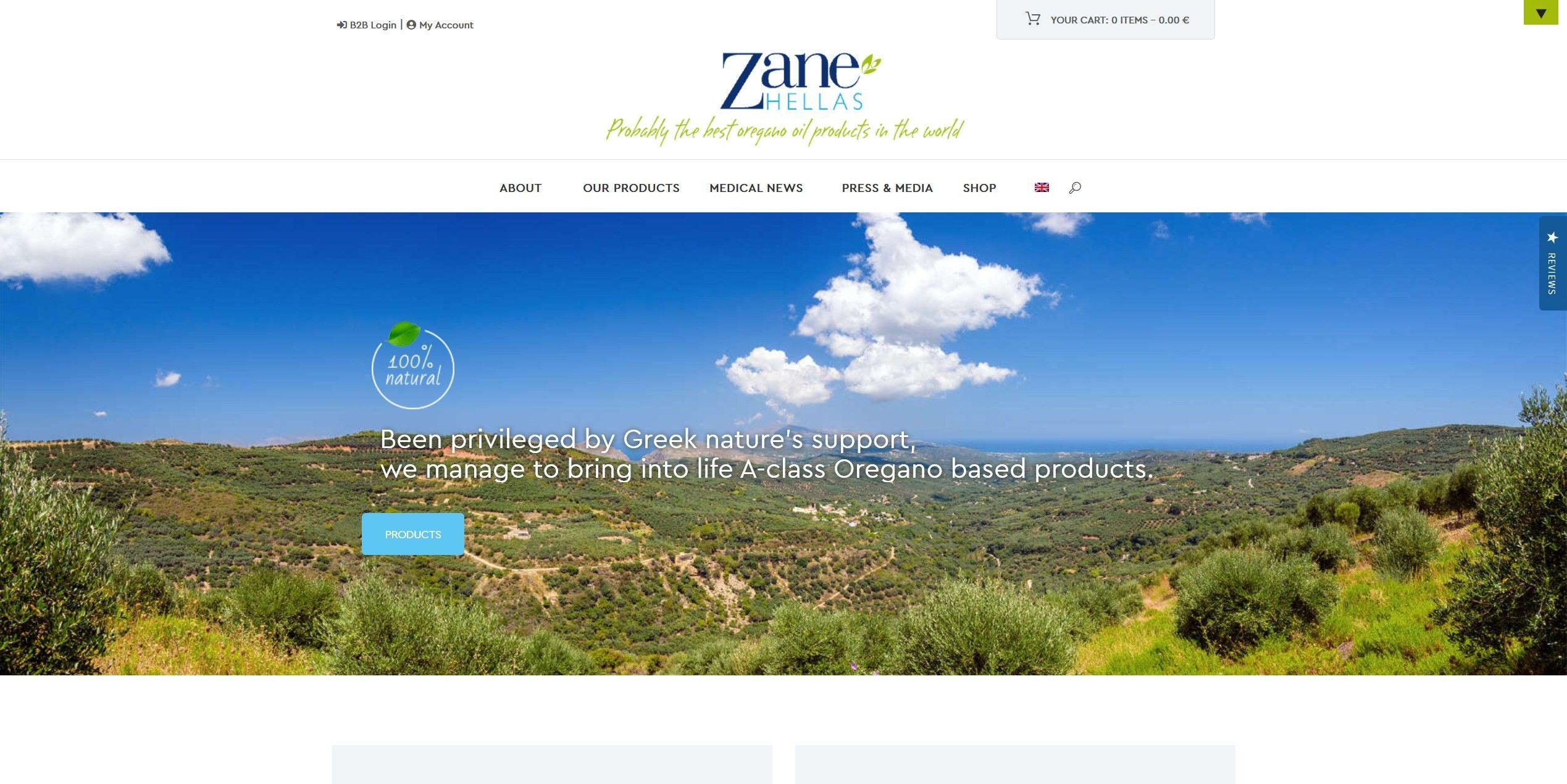 Screenshot 2020 03 16 Home ZANE HELLAS