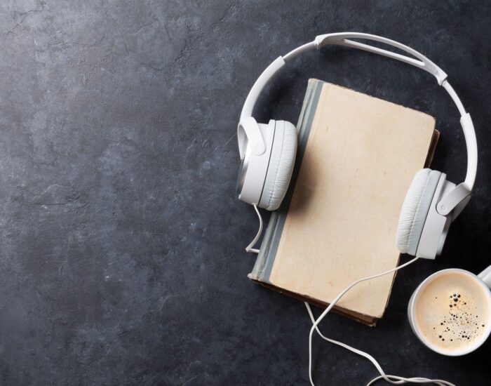 audiodesigner-se-wordpress