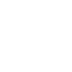 SITE LOGO WHITE FAV